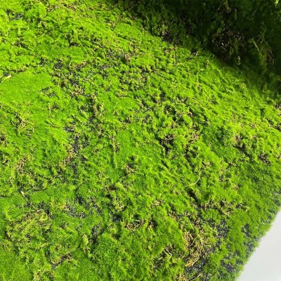 Искусственный мох в рулоне. Дизайн MPA06381